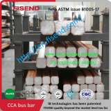 ASTM B1005